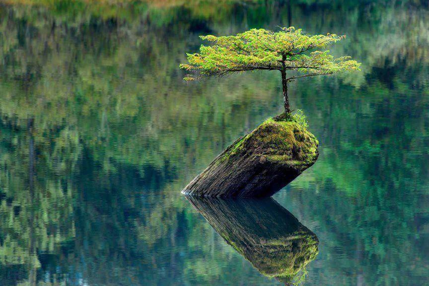 Sue'S Zen Βίλα Port Renfrew Εξωτερικό φωτογραφία